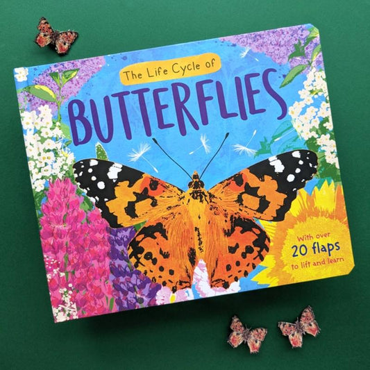 North Parade Life Cycle of Butterflies