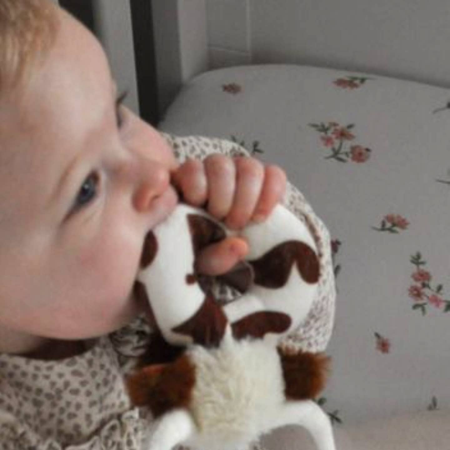 Jomanda Texas Longhorn Highland Brown Cow Baby Plush Rattle 10cm