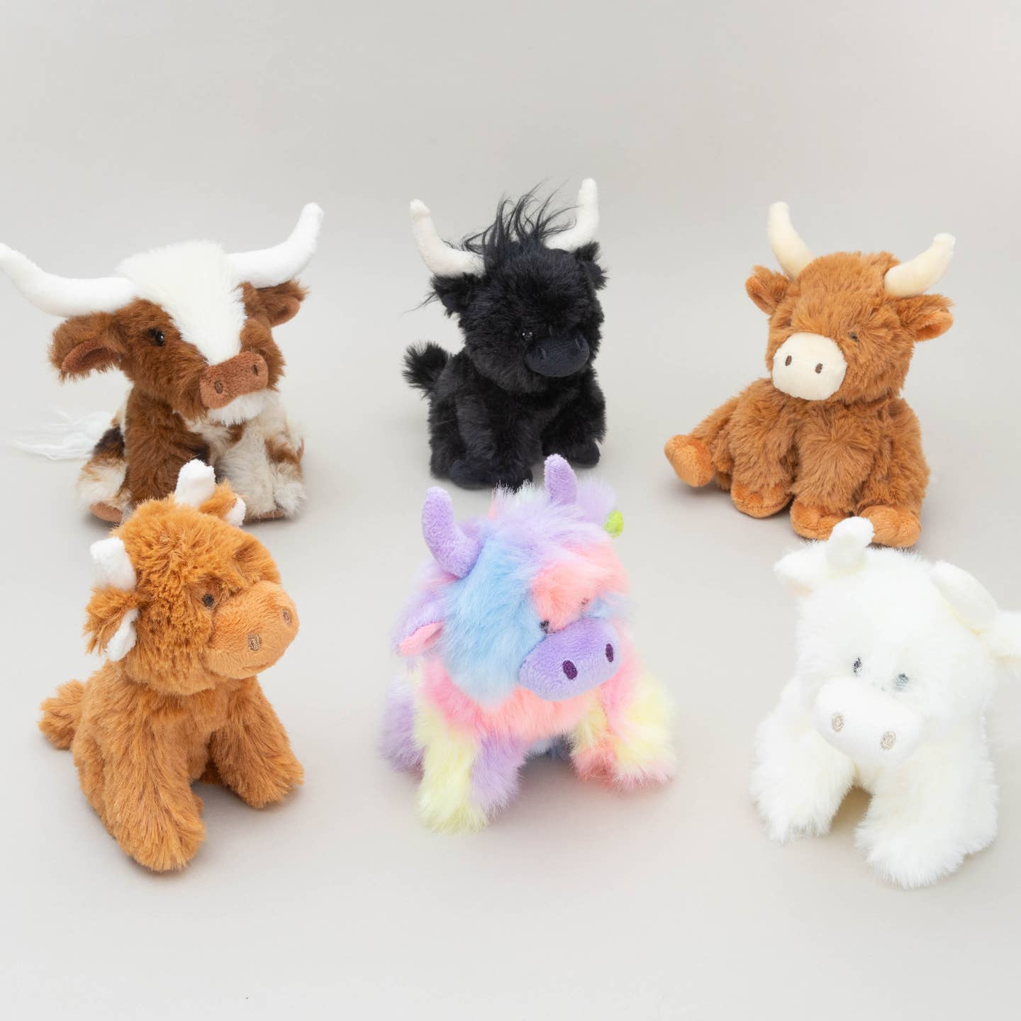 Jomanda Mini Texas Longhorn Highland Cow Cream/Brown With Pop up Box