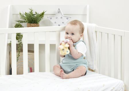 Rainbow Design Disney Baby Lion King Ring Rattle