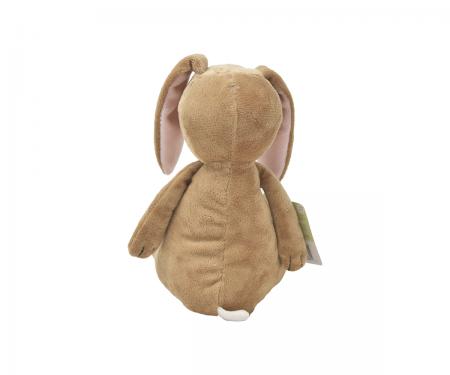 Rainbow Design Guess How Much I love You Large Nutbrown Hare