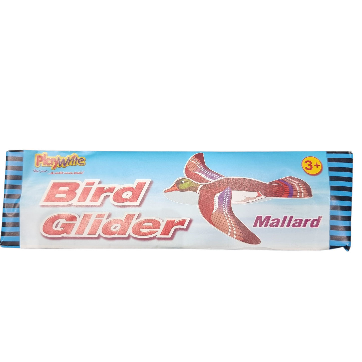 Playwrite British Bird Gliders