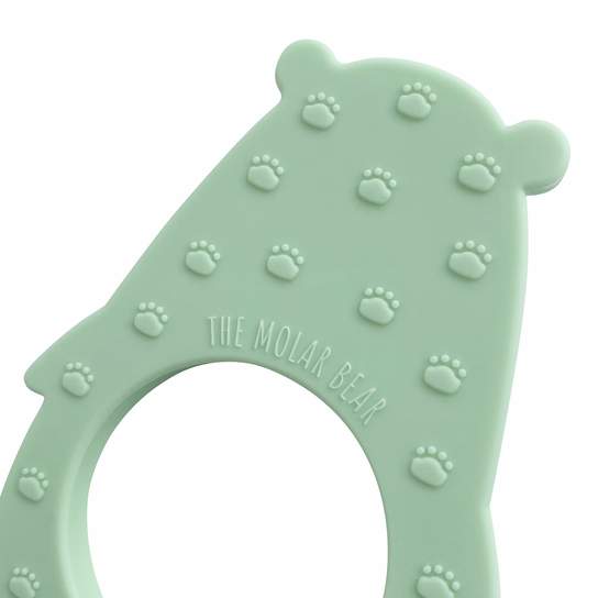Molar Bear Teething Toy Minty Feeding