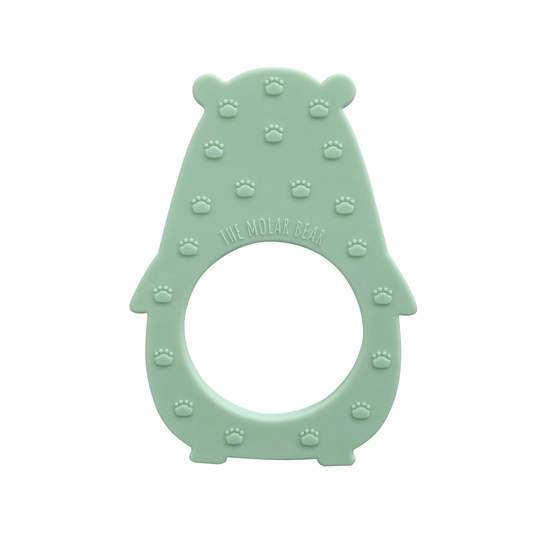 Molar Bear Teething Toy Minty teether with raised back