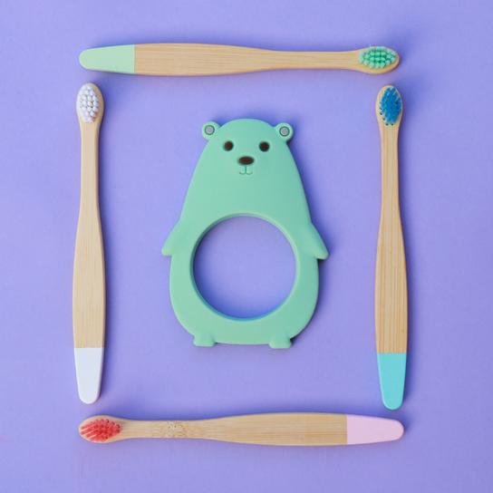 Molar Bear Teething Toy Minty Feeding