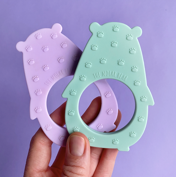 Molar Bear Teething Toy Minty Feeding