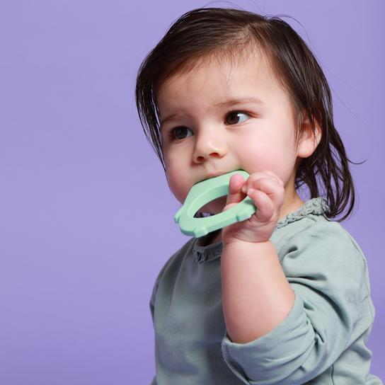 Molar Bear Teething Toy Minty Feeding