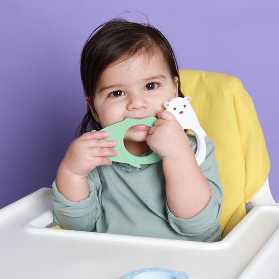 Molar Bear Teething Toy Minty Feeding