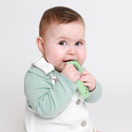 Molar Bear Teething Toy Minty Feeding