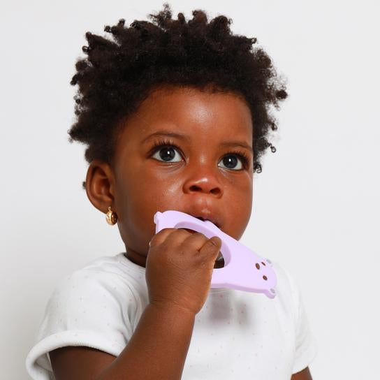 Molar Bear Teething Toy Lumi Feeding