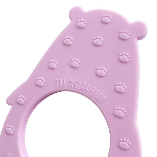 Molar Bear Teething Toy Lumi Feeding