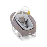 Graco All Ways Soother Stargazer Swing